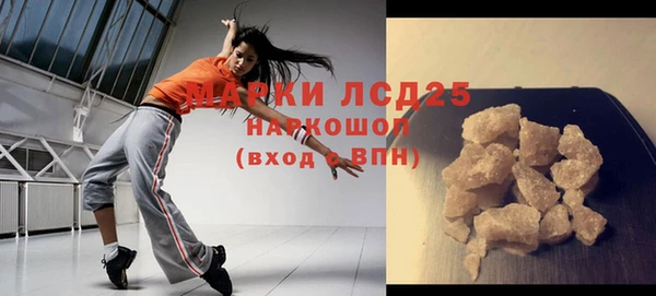 индика Белоозёрский