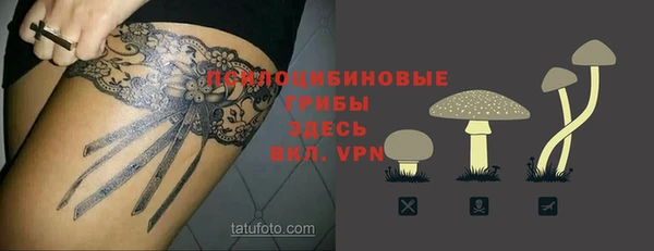 прущая мука Богородицк