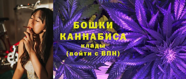 дурь Гусиноозёрск