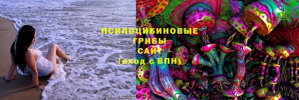 прущая мука Богородицк