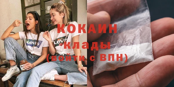 сатива Богданович