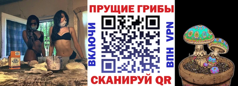 Галлюциногенные грибы мицелий  гидра ссылки  Вельск 